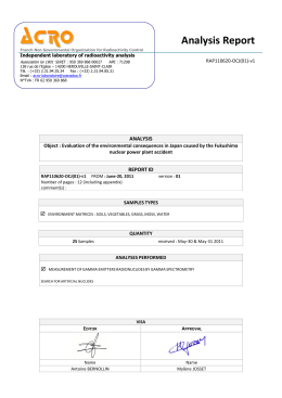 the analysis report in English
