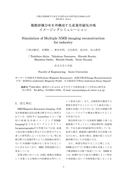 複数核種分布を再構成する産業用磁気共鳴 イメージング