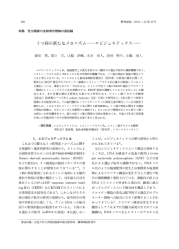 全文PDF