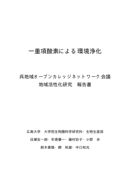 一重項酸素による環境浄化