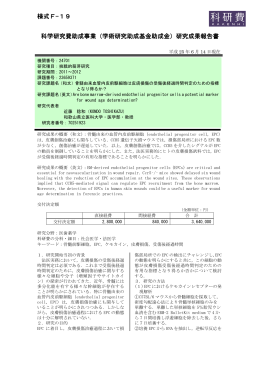 研究成果報告書 - KAKEN - 科学研究費助成事業データベース