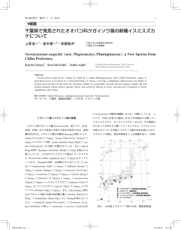 千葉県で発見されたオオバコ科クガイソウ属の新種