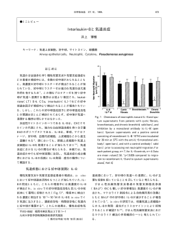 Interleukin―8 と気道炎症