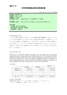 様式 C-19 科学研究費補助金研究成果報告書 - KAKEN