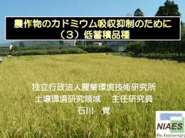 独立行政法人農業環境技術研究所 土壌環境研究領域 主任研究員 石川