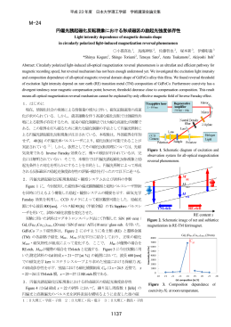 円偏光誘起磁化反転現象