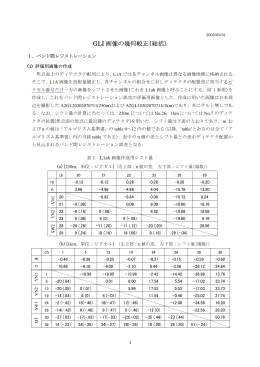 GLI 画像の幾何較正（総括）