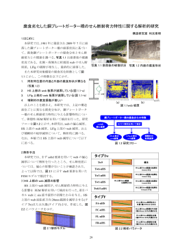 腐食劣化した鋼プレートガーター橋のせん断耐荷力特性に関する解析的