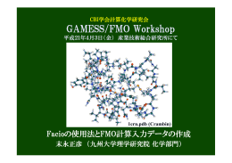 第2回 統合ソフト講習会 「GAMESS によるFMO 計算講習会」 平成20年