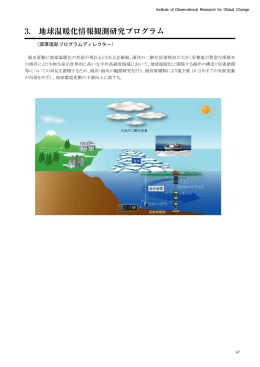 3. 地球温暖化情報観測研究プログラム