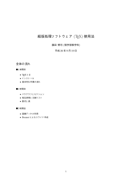 組版処理ソフトウェア (TEX) 使用法