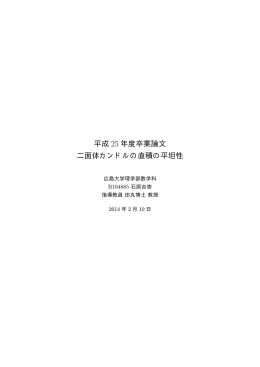 pdf (20pp, 100KB)