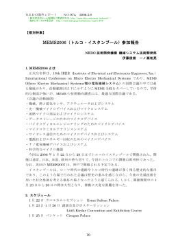 MEMS2006（トルコ・イスタンブール) 参加報告