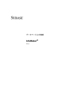 InfoMaker - PowerBuilder（パワービルダー）