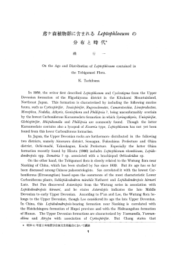 鳶ヶ森植物群に含まれるLeptophloeumの 分布と時代＊