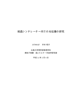 結晶シンチレーター内での光伝播の研究