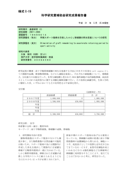 様式 C-19 科学研究費補助金研究成果報告書 - KAKEN