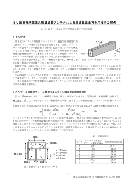 ミリ波高能率偏波共用導波管アンテナによる周波数完全再利用技術の開発