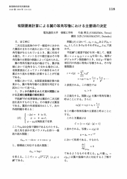 有限要素計算による翼の等角写像における主要項の決定