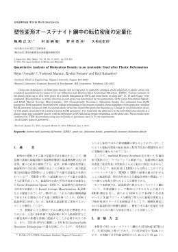 塑性変形オーステナイト鋼中の転位密度の定量化