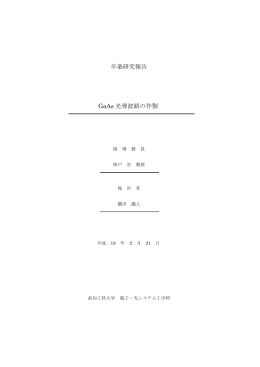 卒業研究報告 GaAs 光導波路の作製