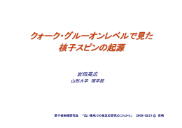 クォーク・グルーオンレベルで見た 核子スピンの起源