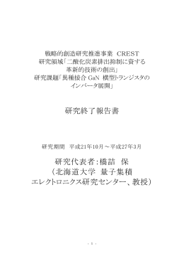 研究終了報告書 研究代表者：橋詰 保 （北海道大学