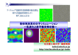 粉体気体系の分子シミュレーション ー乱流化と非平衡定常状態ー