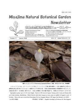 Miyajima Natural Botanical Garden Newsletter