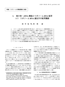 I． 核小体・rDNA 構造とリボソーム RNA 転写 I―3 リボソーム RNA