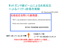 MeVガンマ線ビームによる光核反応によるパリティ非保存実験 - SPring-8