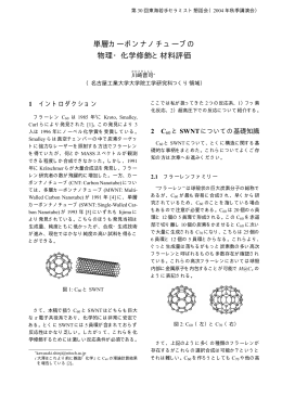 単層カーボンナノチューブの 物理・化学修飾と材料評価