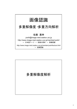 多重解像度解析