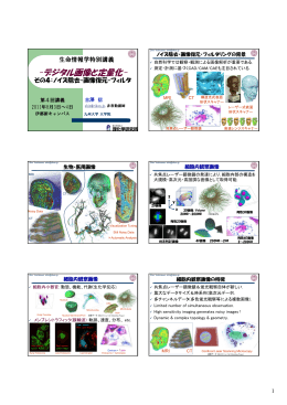 ノイズ除去・画像復元・フィルタ