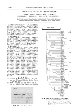 SSR マーカーによるギニアグラス遺伝資源の系統解析