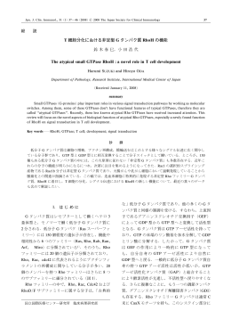 T 細胞分化における非定型 G タンパク質 RhoH の機能 The atypical