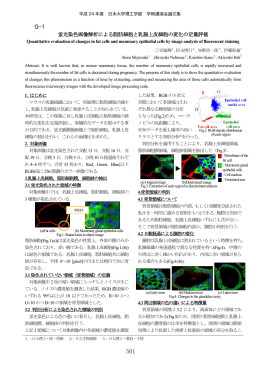 乳腺上皮細胞 - 日本大学理工学部