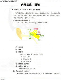 内耳性難聴を含む難寛恵を理解するため内耳虫周牛、 外耳、 中耳の