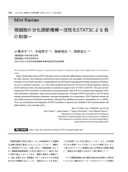視細胞の分化調節機構