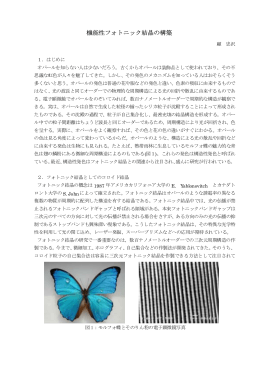 機能性フォトニック結晶の構築