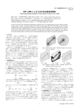 CIP-LSM による三次元自由表面流解析