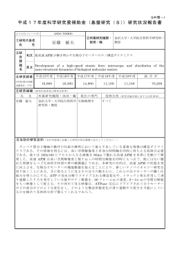 PDF - 日本学術振興会
