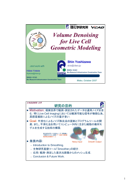 Volume Denoising for Live Cell Geometric Modeling