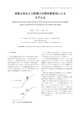 崩壊土砂および防護工の個別要素法による モデル化