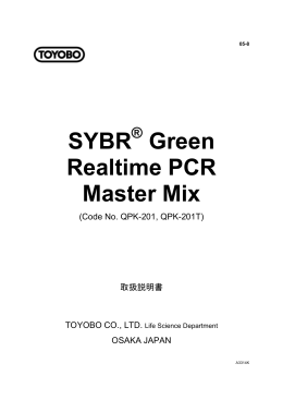 SYBR Green Realtime PCR Master Mix