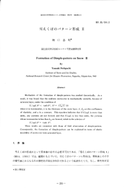 雪えくぼのパターン形成Ⅱ - 防災科学技術研究所ライブラリー