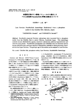 NOM, Spec 四国秩父帯のリン酸塩ノジュールから産出した