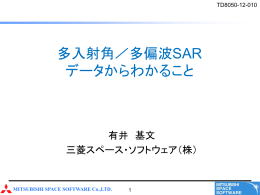 多入射角／多偏波SAR データからわかること