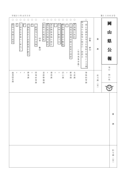 平成21年4月3日第11062号
