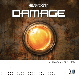 Damage Manual Japanese